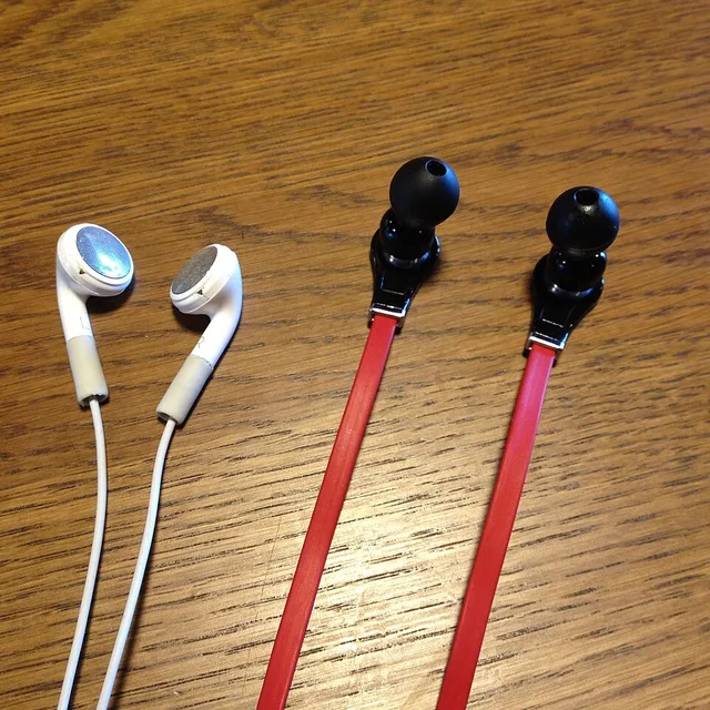 Dynamiq Alpine Buds Pro