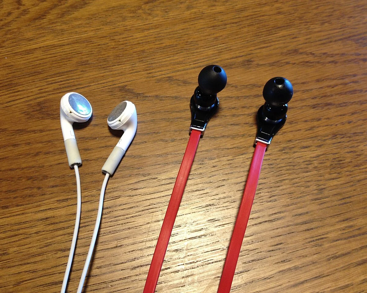 Dynamiq Alpine Buds Pro