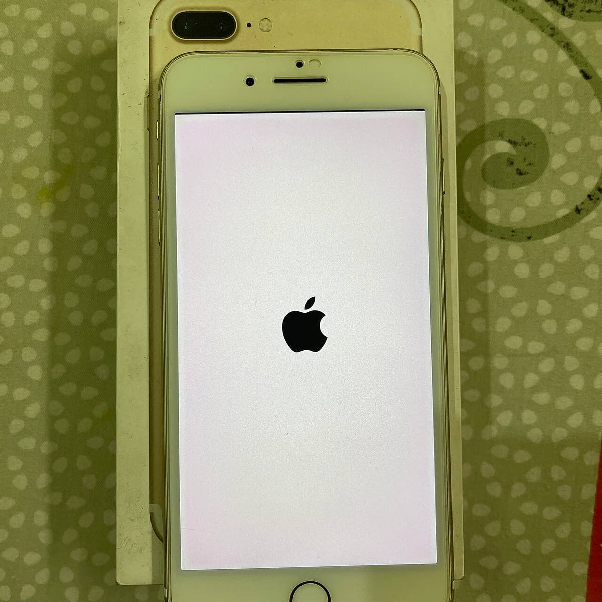 Dynamiq Harbor Case Pro